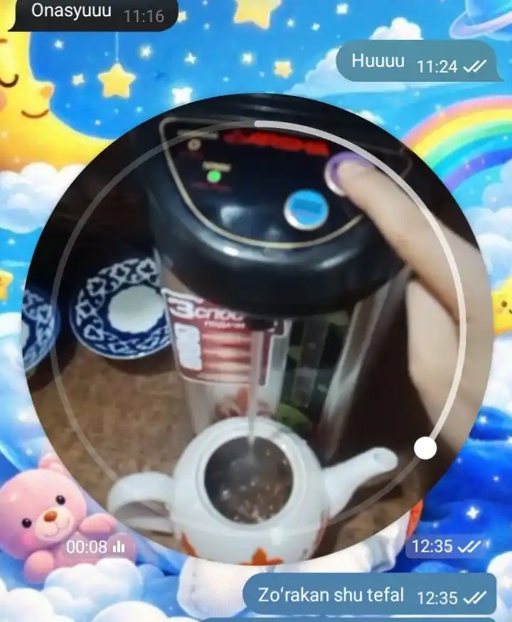 Termos termopoti, elektrotukli somavar, tefal termos