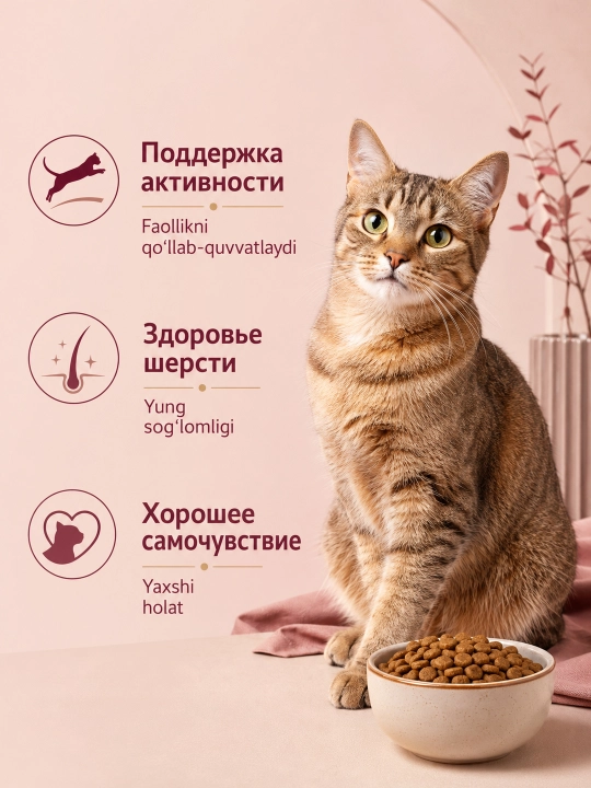 MIR Miracat katta mushuklar uchun quruq yem, mol go‘shtli, 1,5 kg