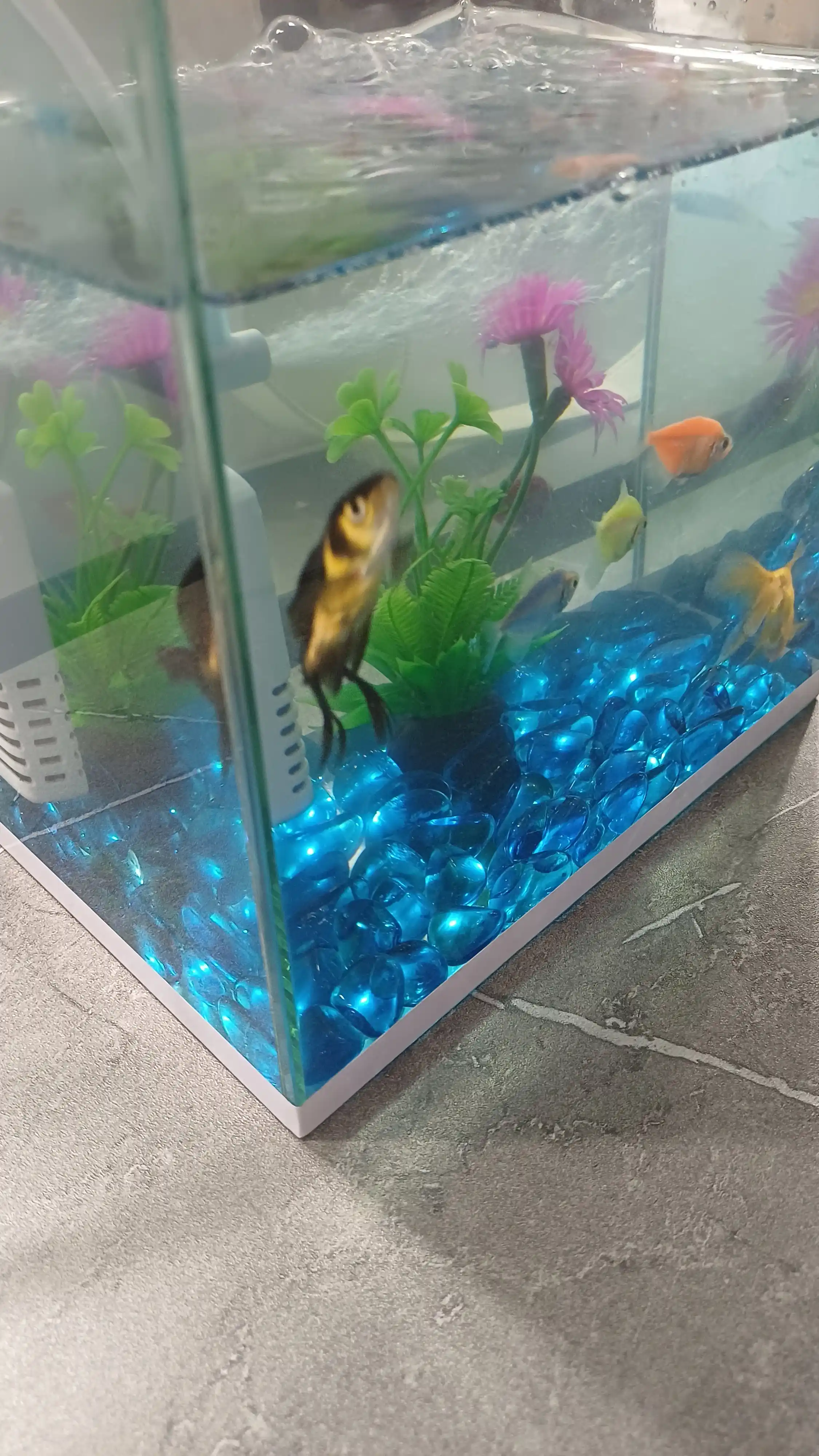 Akvarium