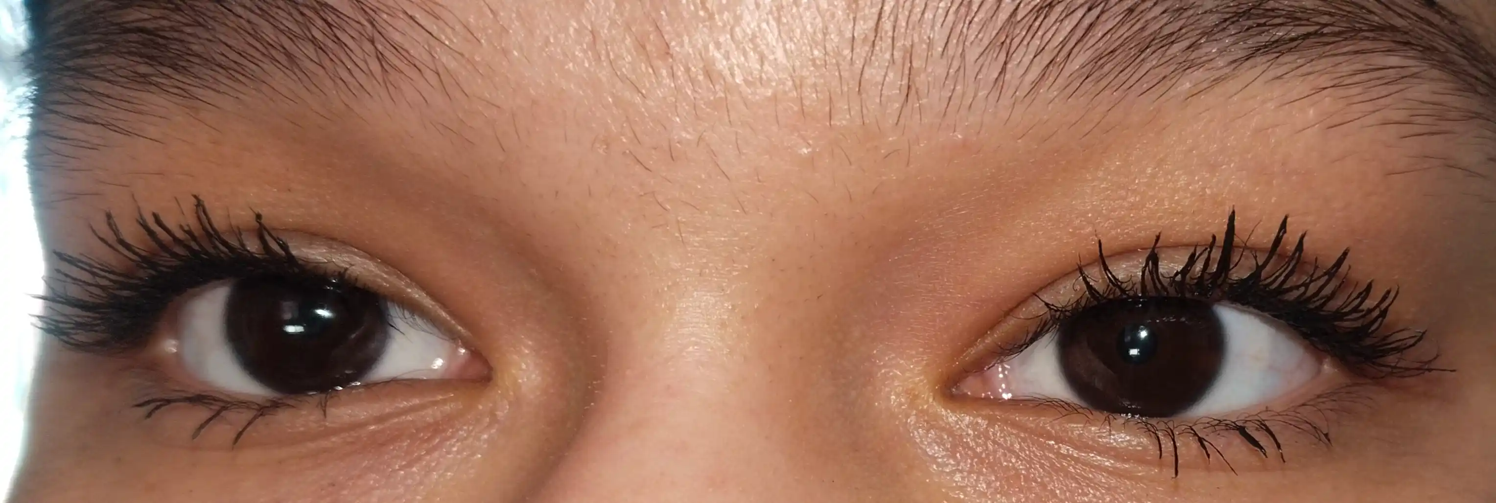 Bukuvchi va cho'zuvchi kipriklar uchun tush FARMSTAY Princess Curl & Longlash Mascara