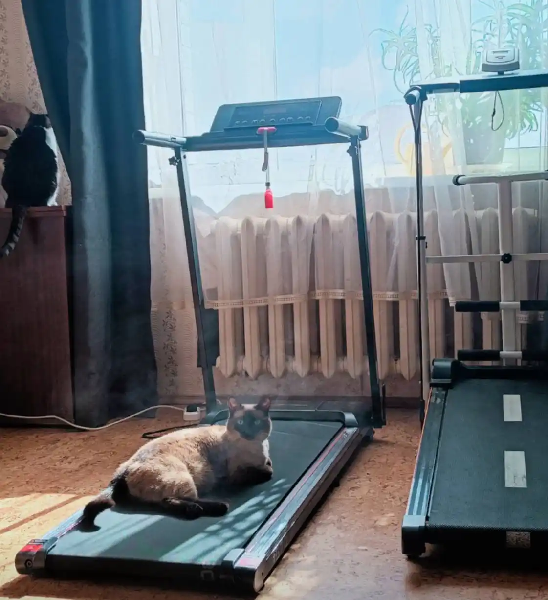 Yugurish yo‘lakchasi uy uchun, elektr buklanadigan 2.0 HP, yugurish va yurish uchun