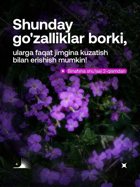 Binafsha shulasi 2, Usoma Muslim,  Binafsha shu’lasi