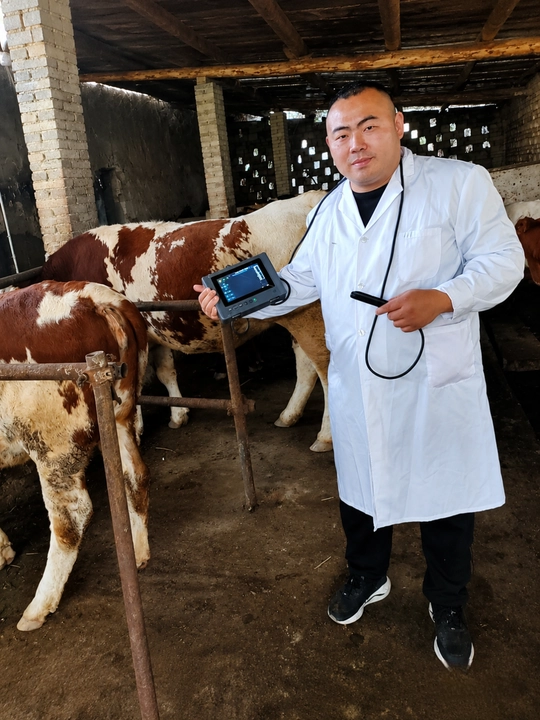 T1 Veterinariya UZI Apparati — Rektalni Universal Zondli Professional Ultrasound Scanner