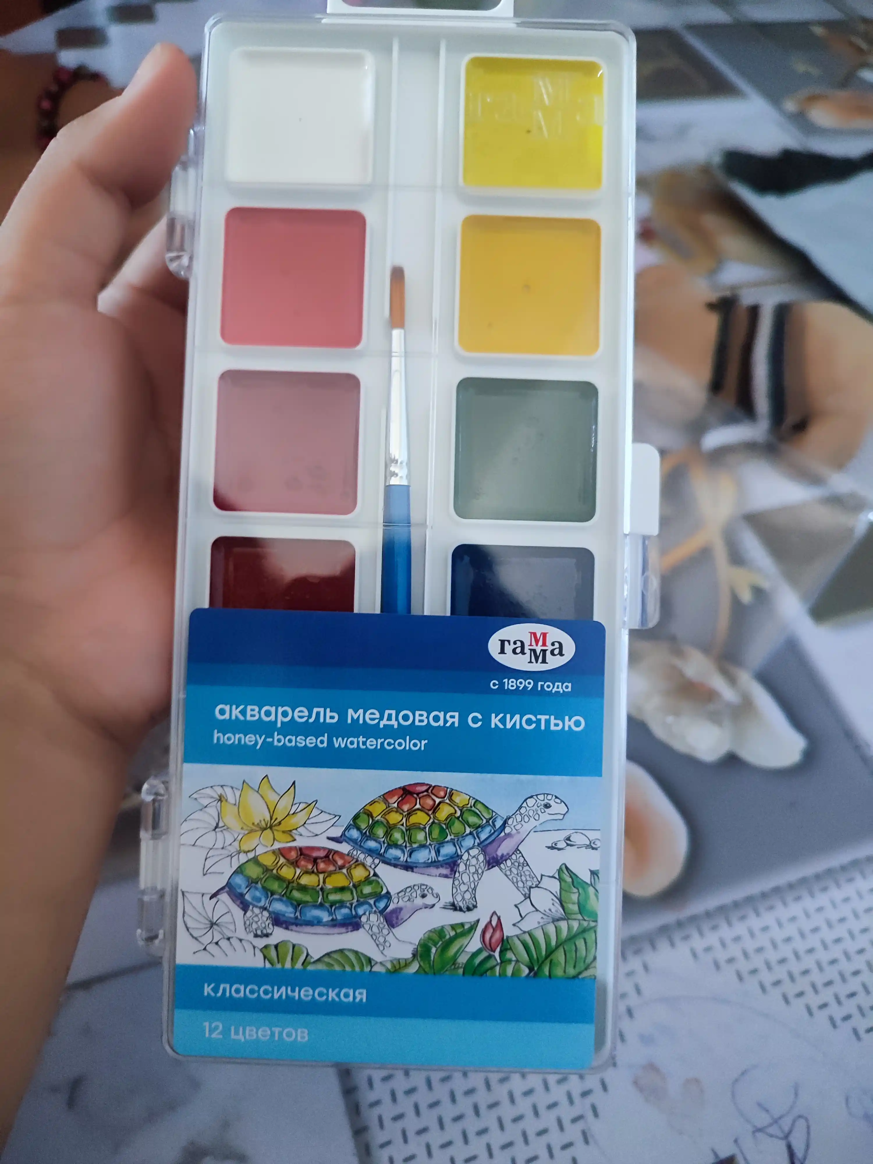 Akvarel Gamma Klassik, asal, 12 ta rangli, cho'tka bilan, plastik qadoqli