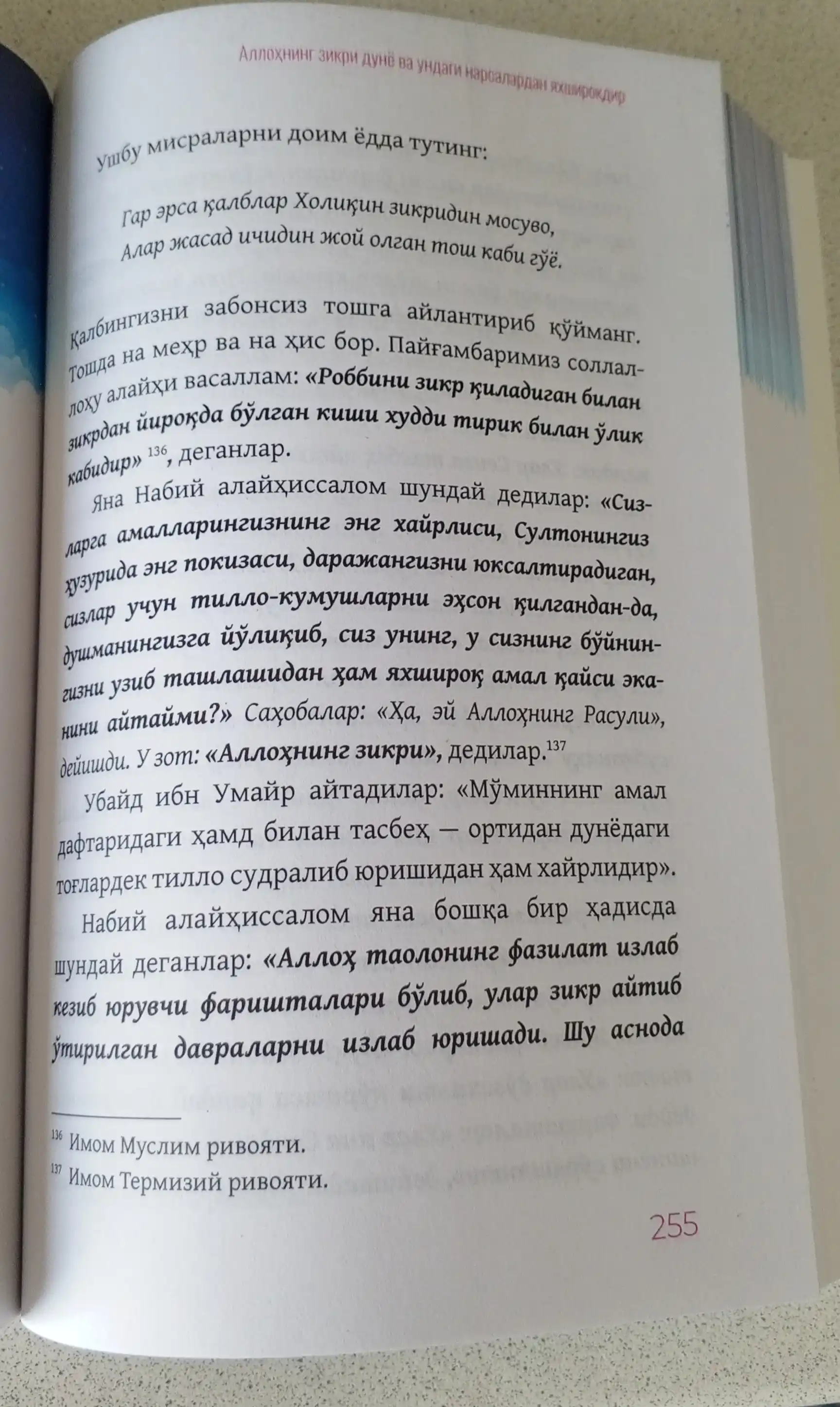 Жаннат бўстонидаги оилавий оқшомлар, Хассон Шамсий Пошо
