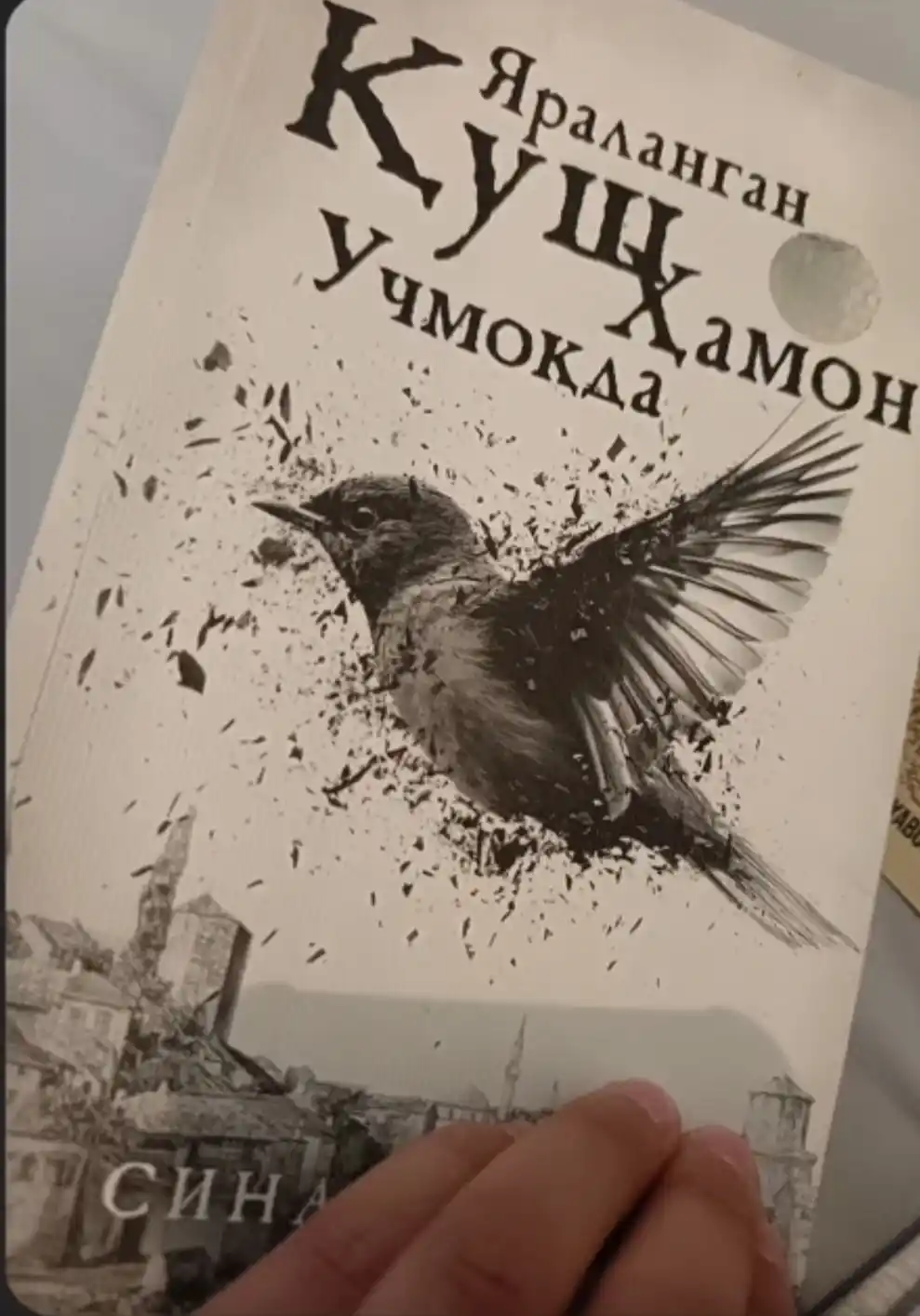 Yaralangan qush hamon uchmoqda, Sinan Akyuz