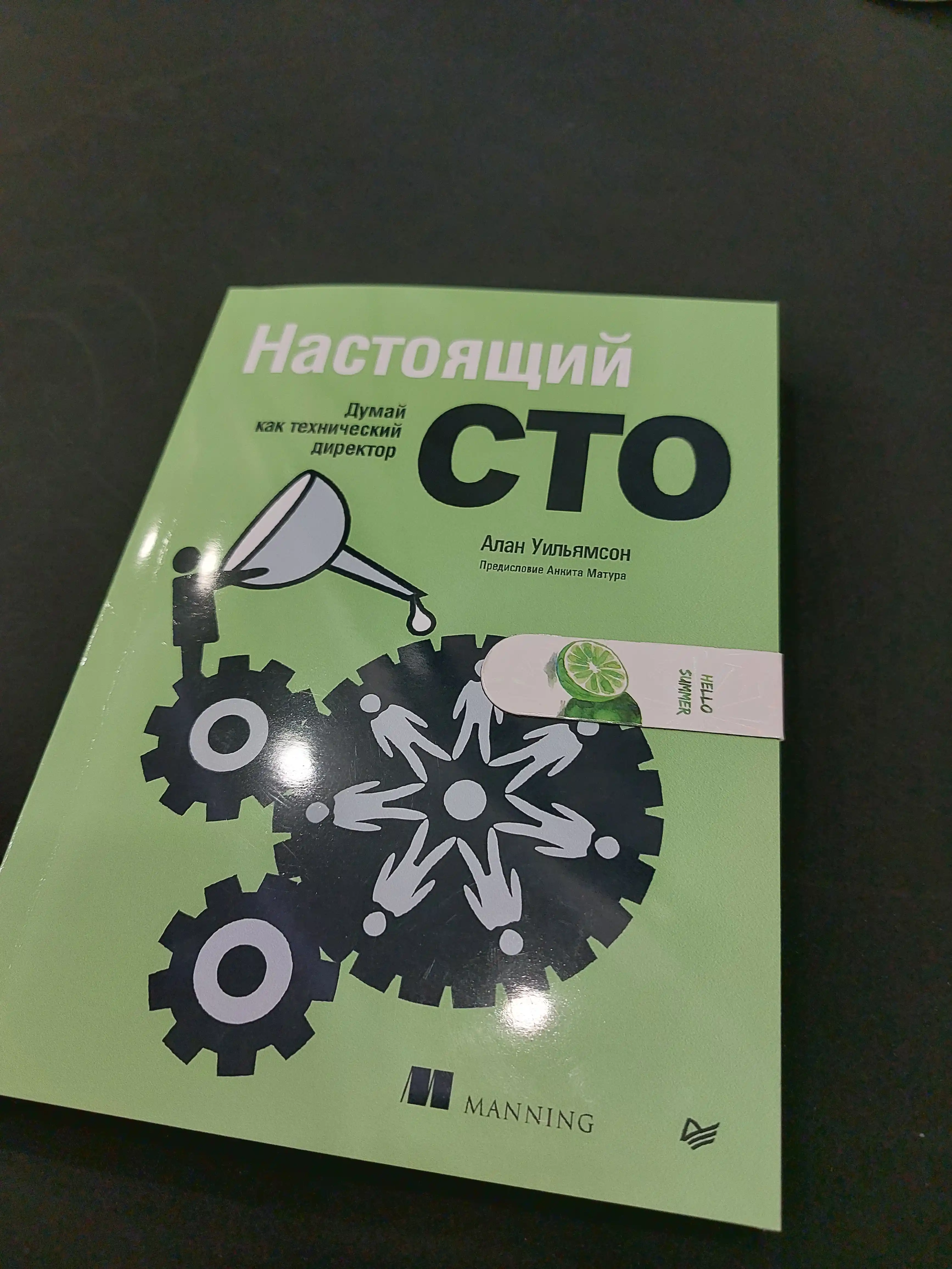 Nastoyashiy CTO: dumay kak texnicheskiy direktor, Uilyamson Alan