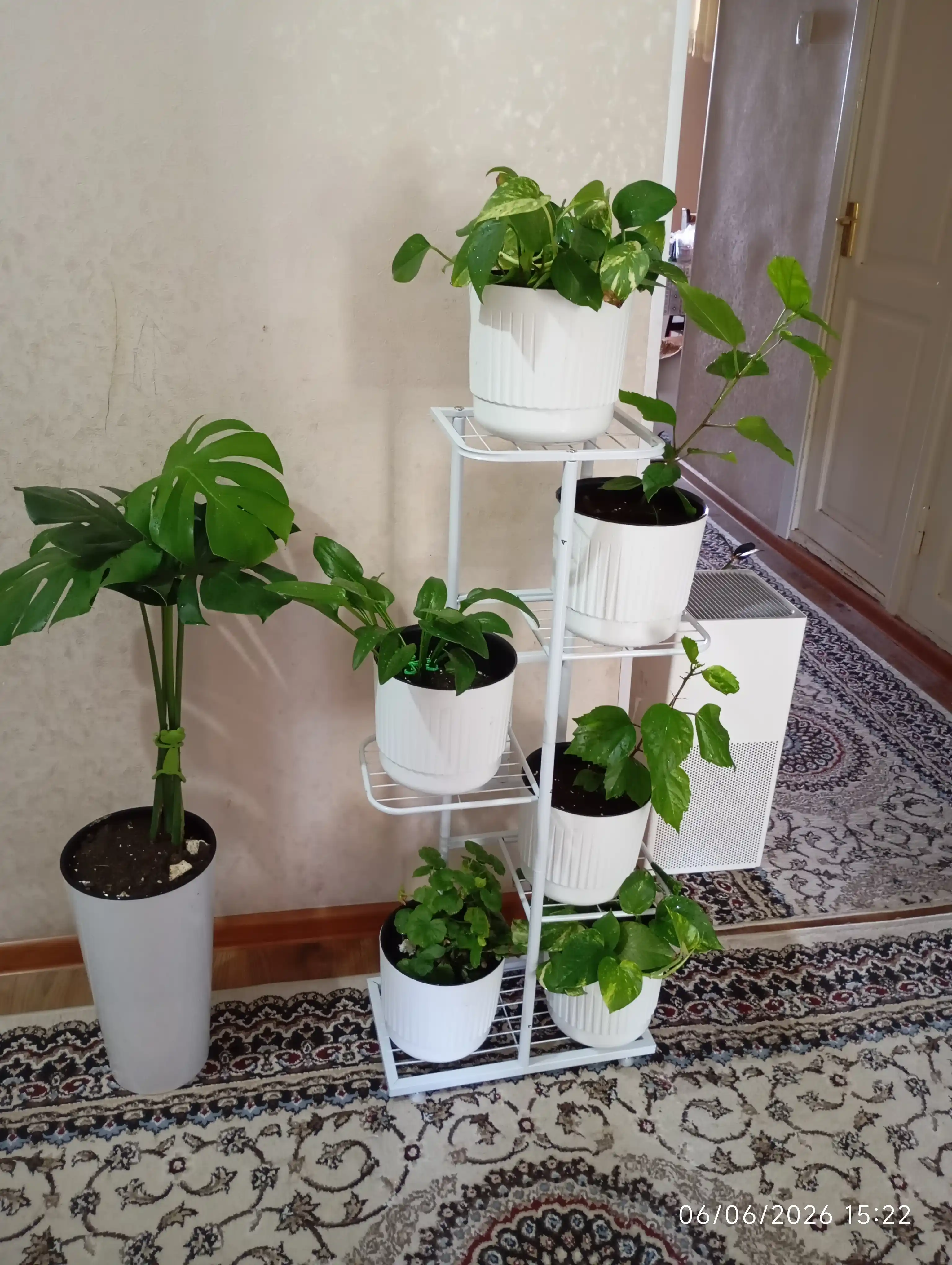 Горшок для цветка
