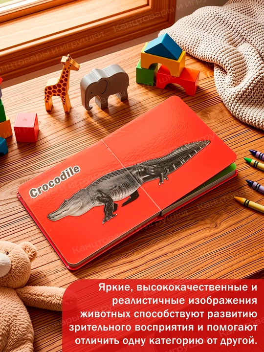 Набор из 6 детских книг-картонок на английском — Транспорт, Животные, Фрукты