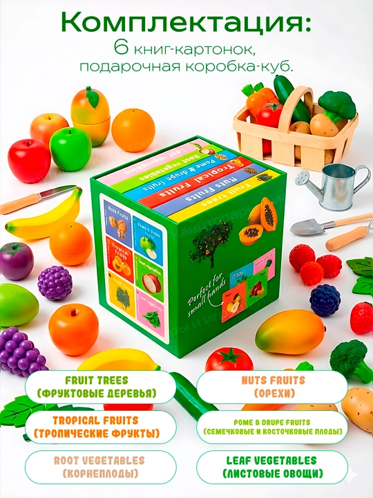 Набор из 6 детских книг-картонок на английском — Транспорт, Животные, Фрукты