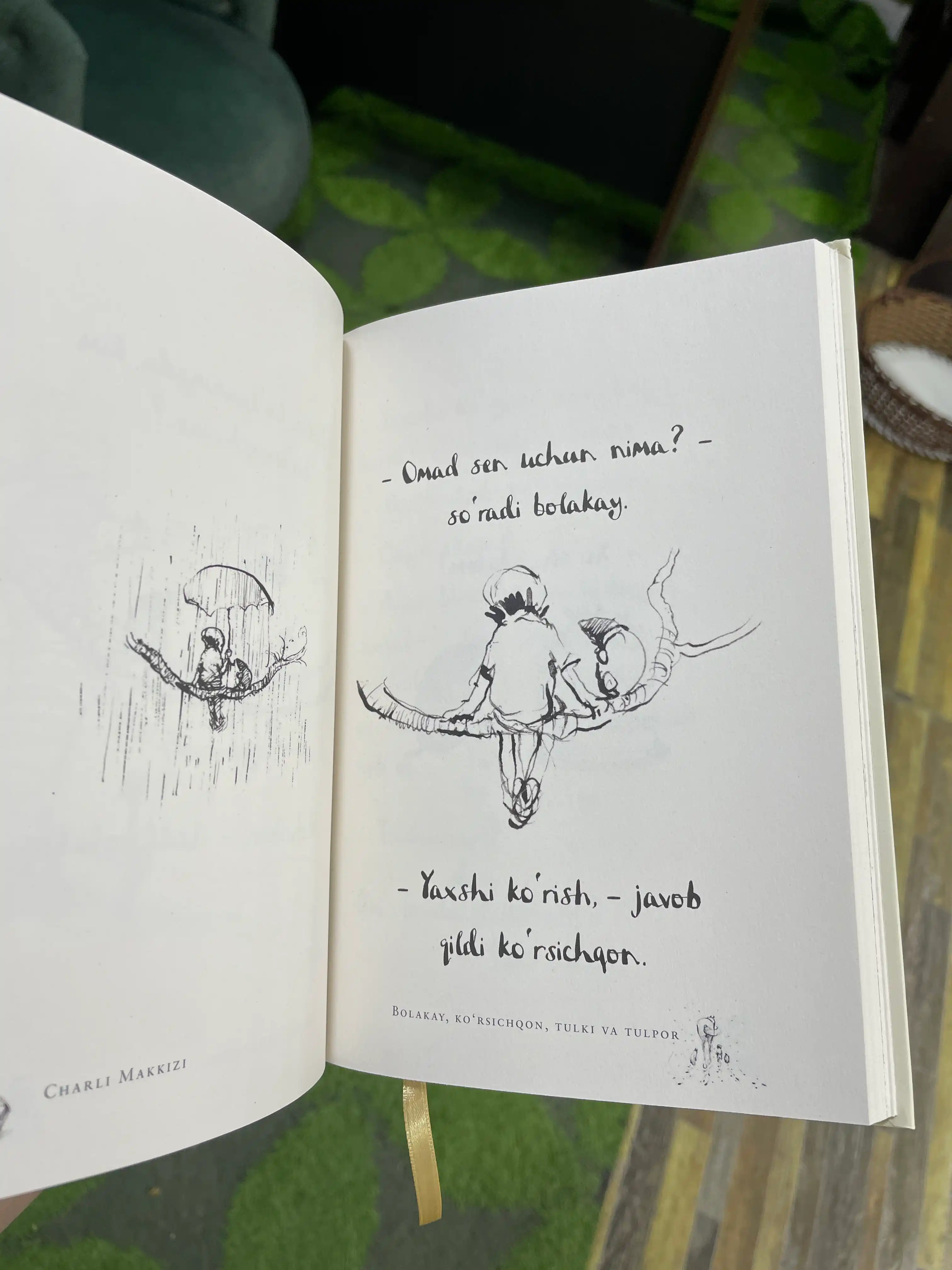 Мальчик, Крот, Лис и Лошадь — Чарли Маккизи, Мотивационная книга