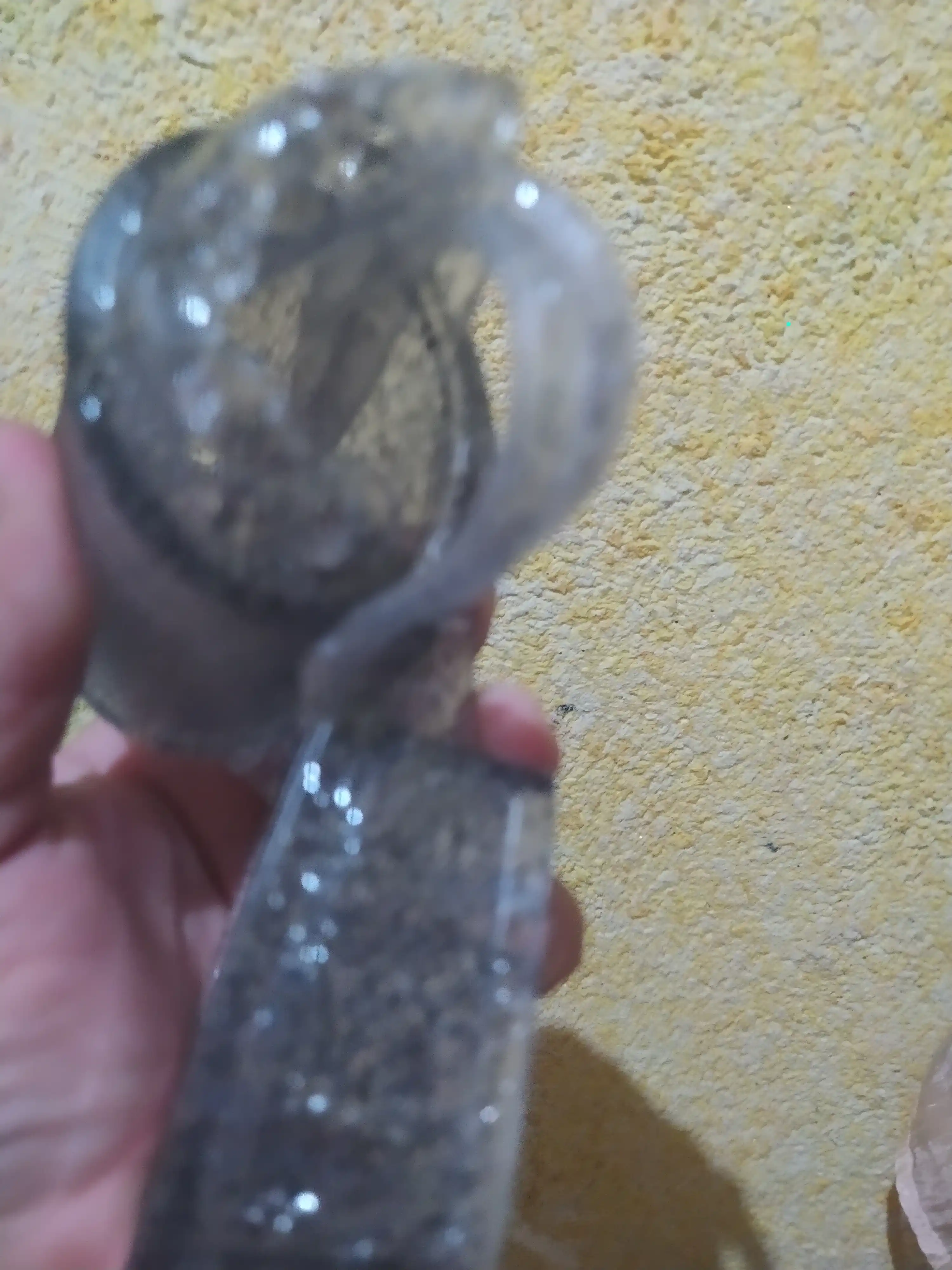 Летняя обувь для женщин и девочек, женская обувь, летняя обувь
