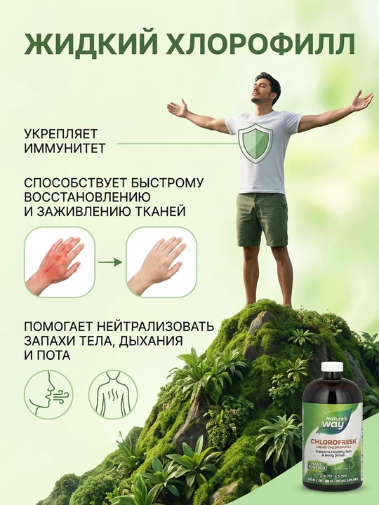 Nature's Way, yalpiz ta’mli suyuq xlorofill, 473 ml