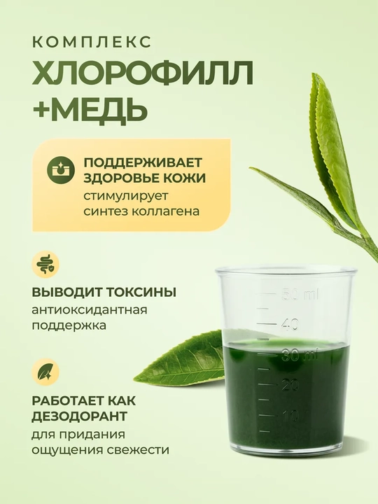 Nature's Way, yalpiz ta’mli suyuq xlorofill, 473 ml