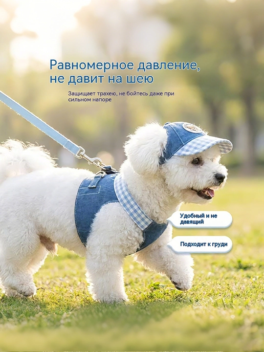 Джинсовый набор для питомца "Мишка": шлейка+поводок+шапочка, для кошек и собак