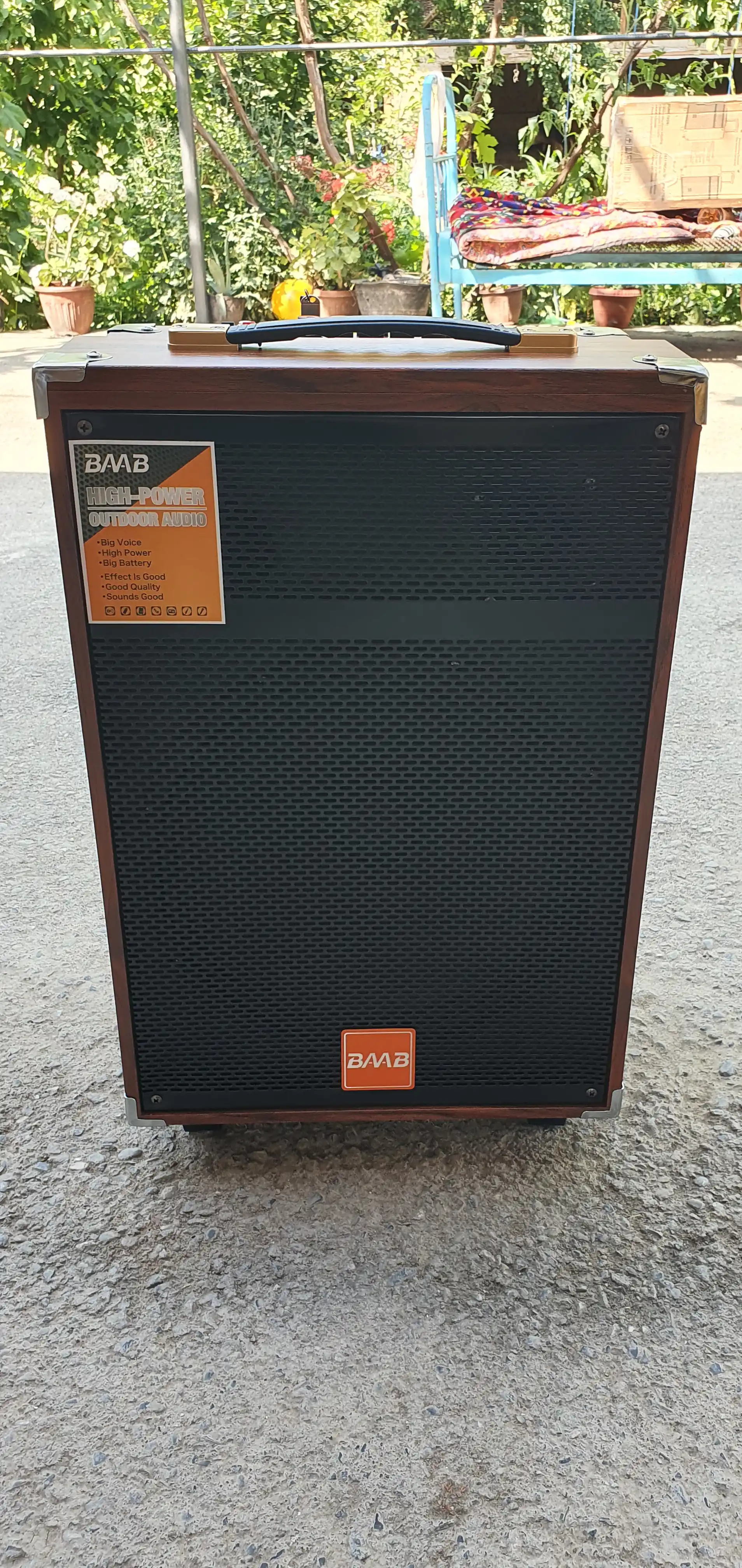 Колонка караоке BAAB B-Q12 с 2 беспроводными микрофонами