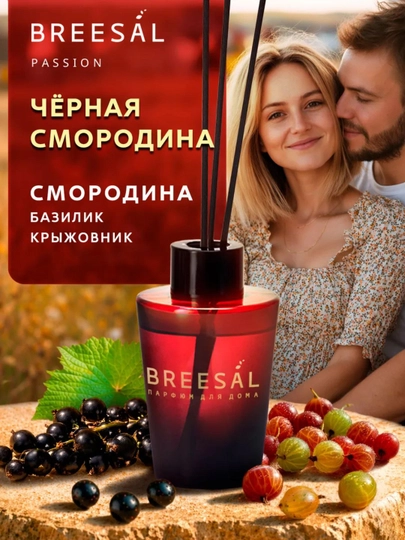 Диффузор для дома с палочками, Breesal Passion смородина 70 мл — CU-20767