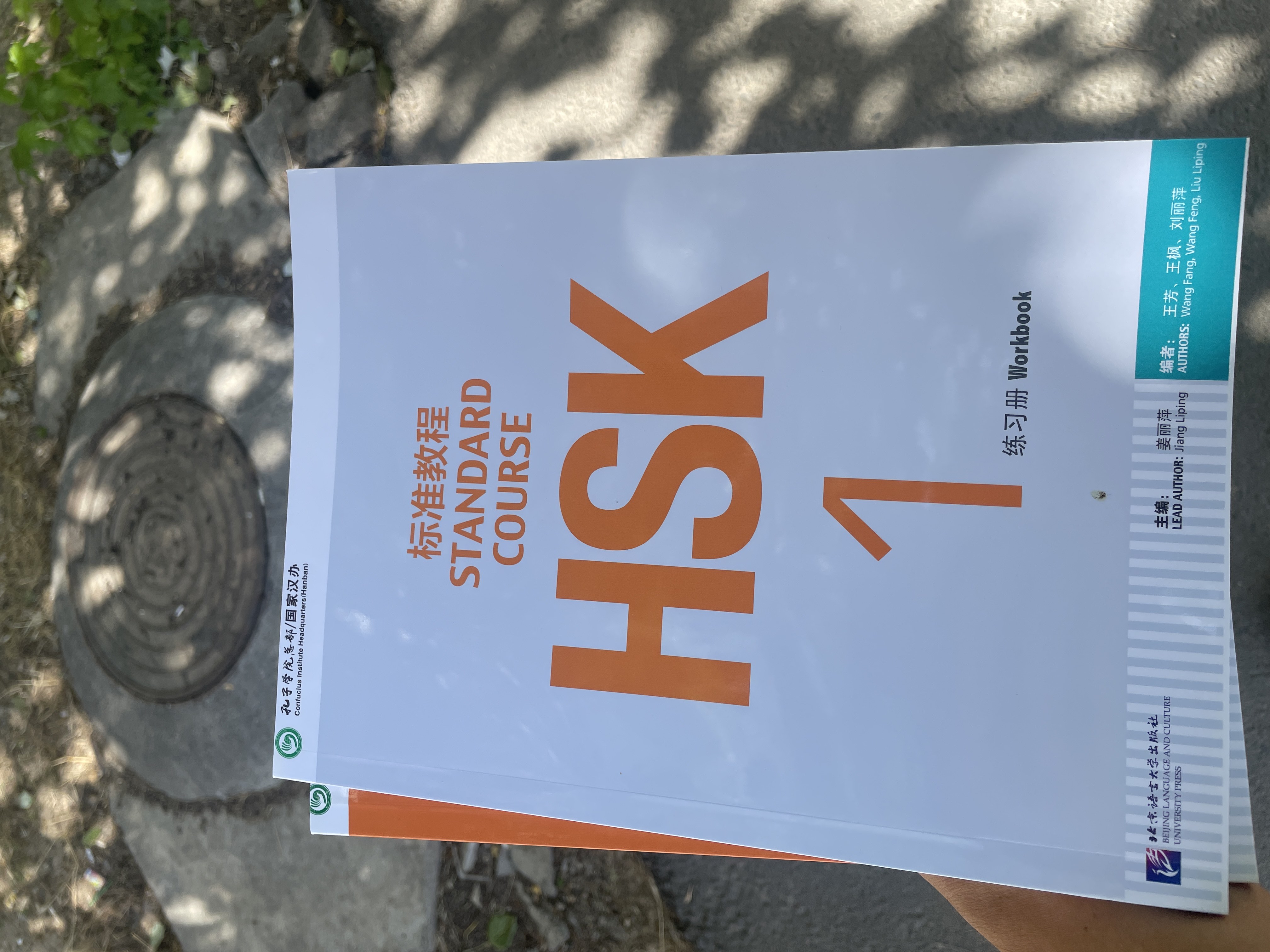 HSK Standard Course 1,2,3,4,5,6 Student's book+Workbook A4 format Jiang Liping