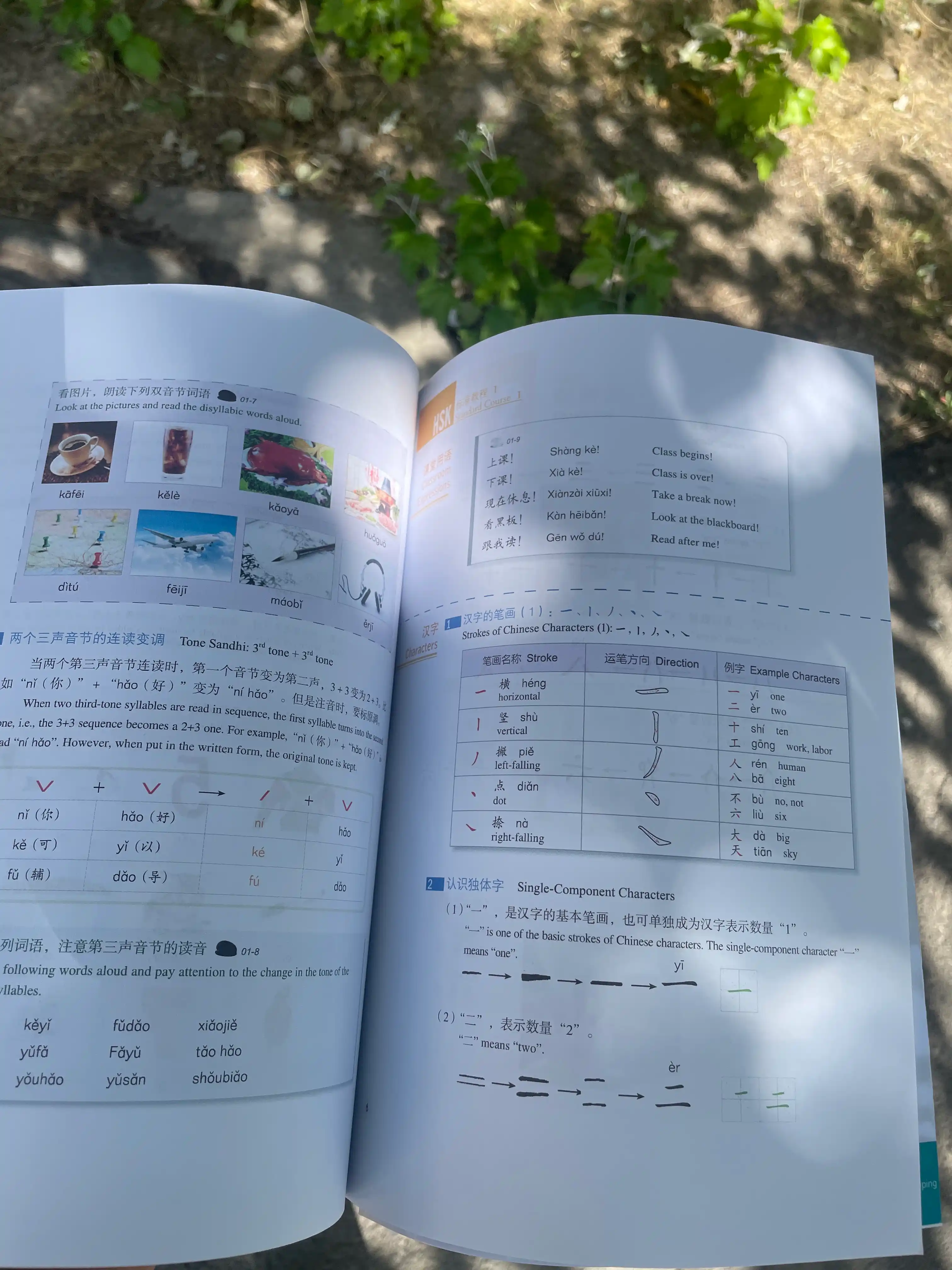 HSK Standard Course 1,2,3,4,5,6 Student's book+Workbook A4 format Jiang Liping