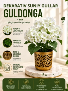 Oq
