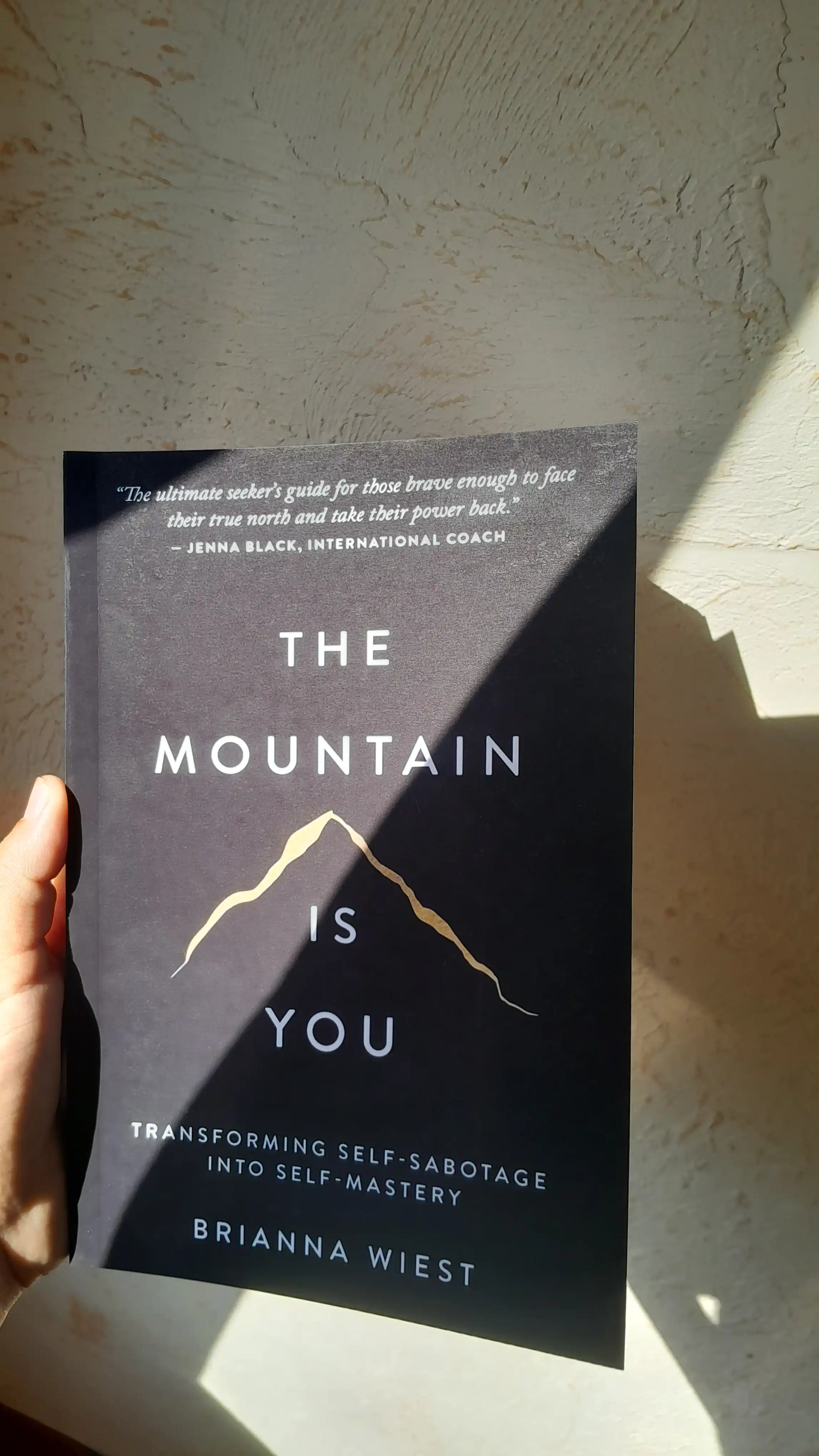 The Mountain Is You Brianna wiest