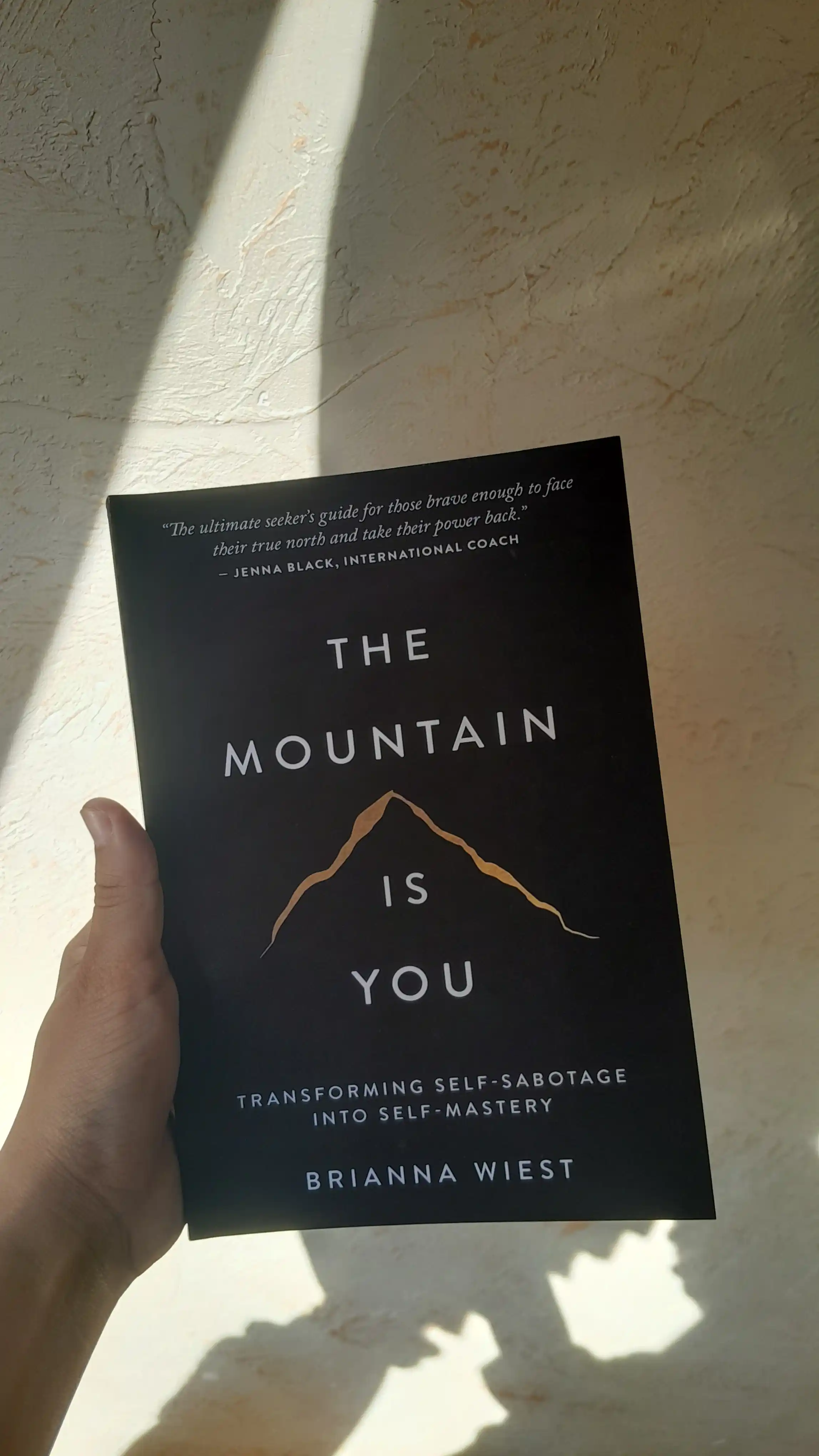 The Mountain Is You Brianna wiest