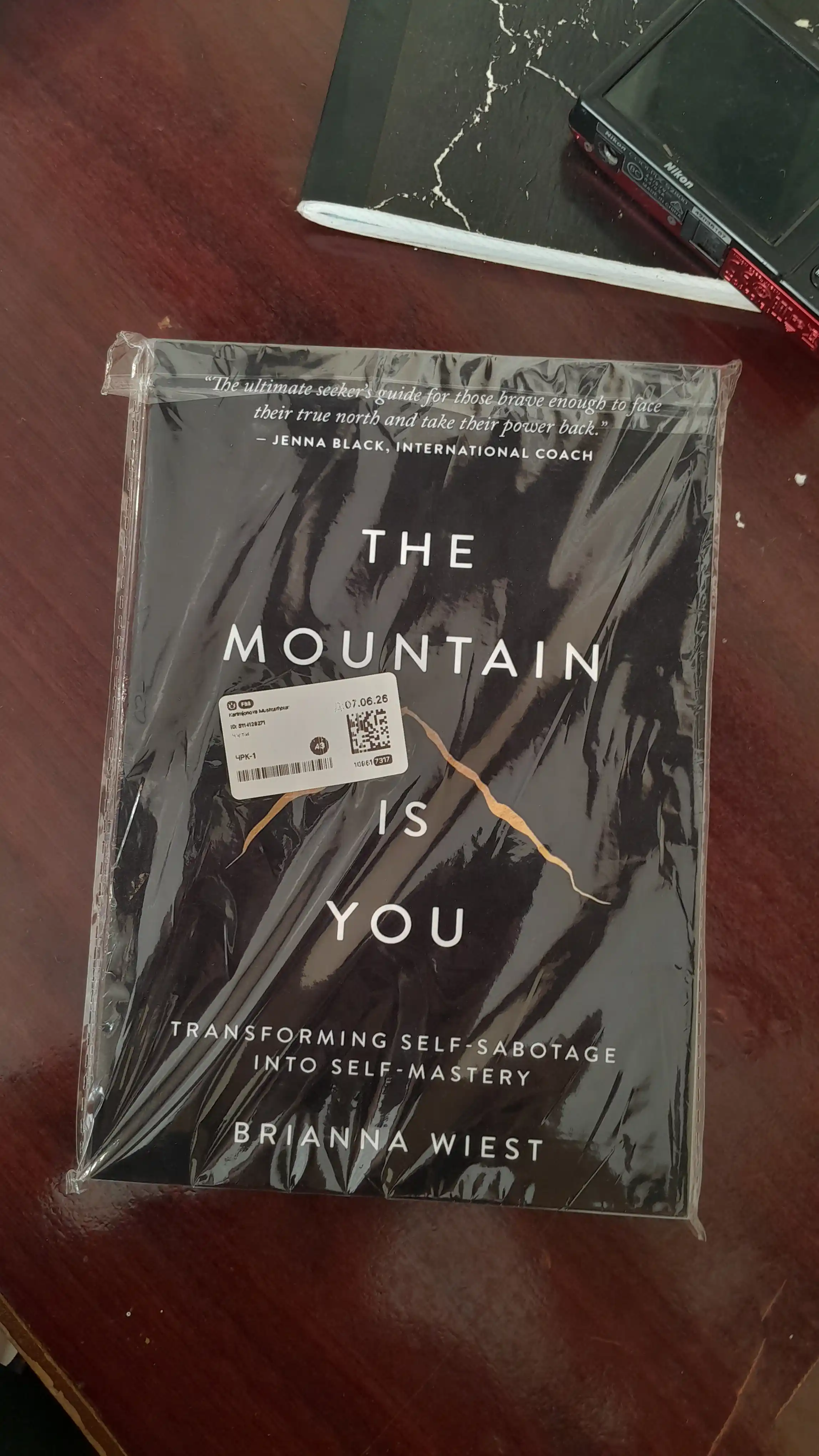 The Mountain Is You Brianna wiest