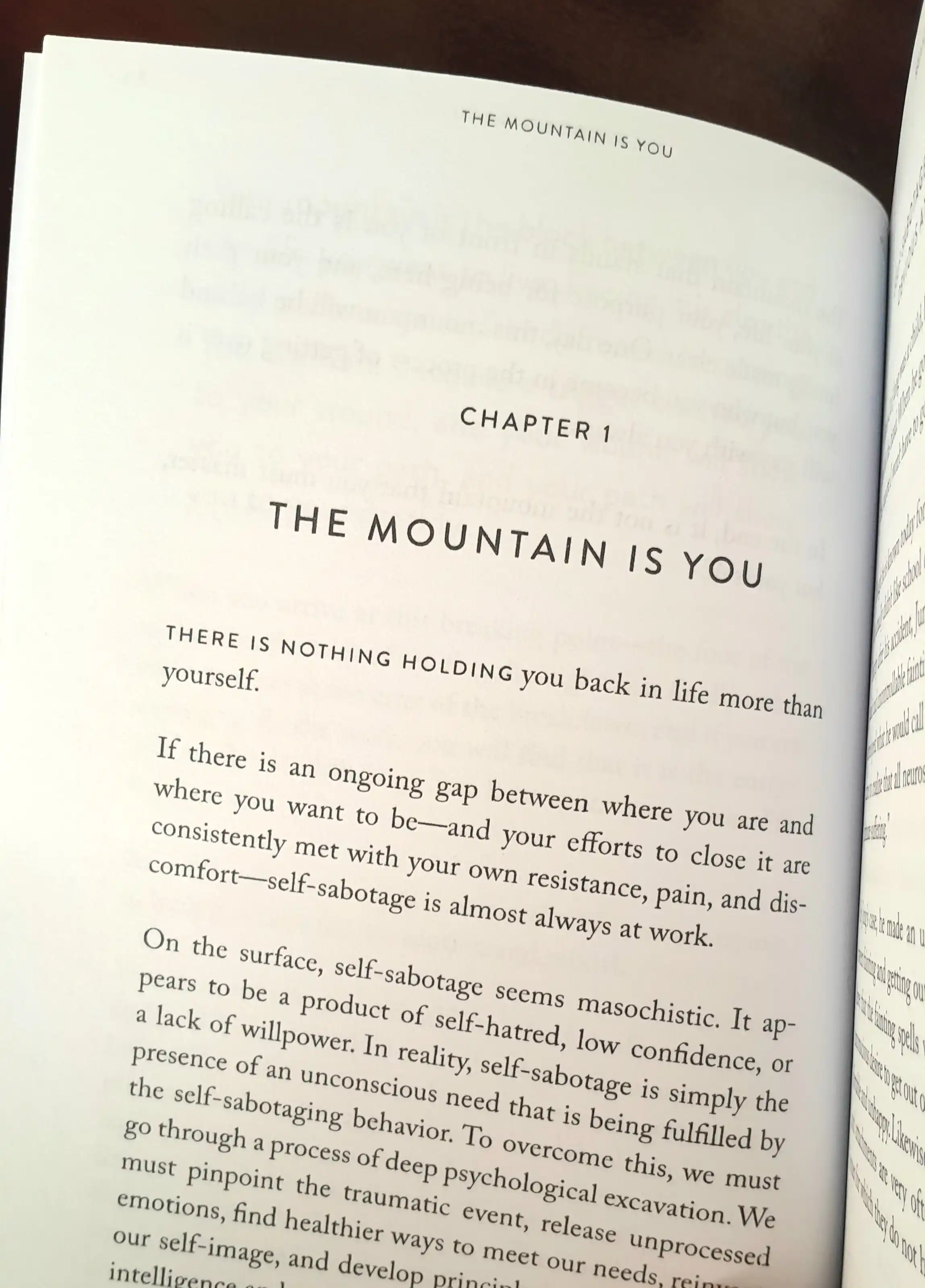 The Mountain Is You Brianna wiest