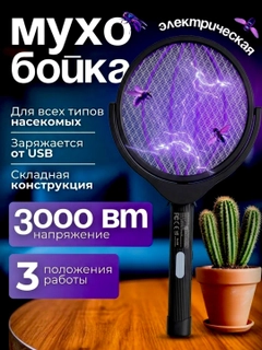 Qora