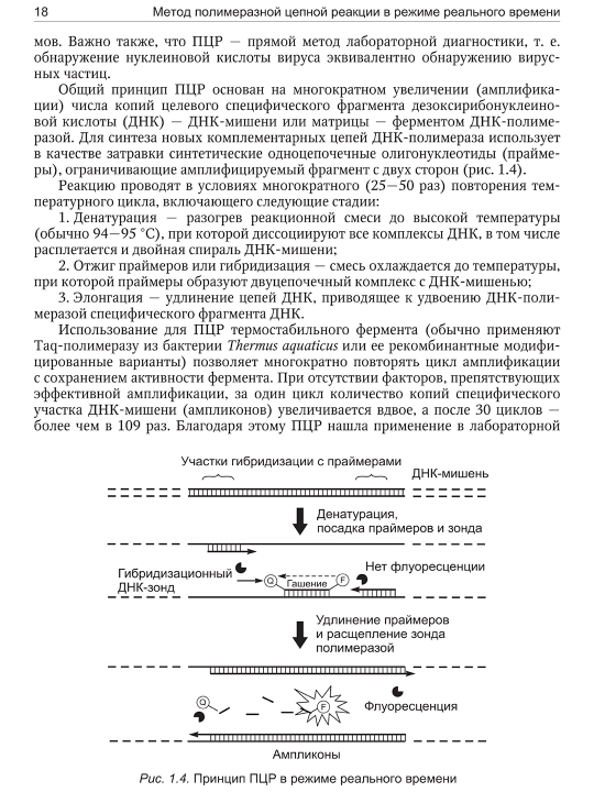Вопросы гепатологии — В. В. Малеев, И. Г. Ситников, М. С. Бохонов