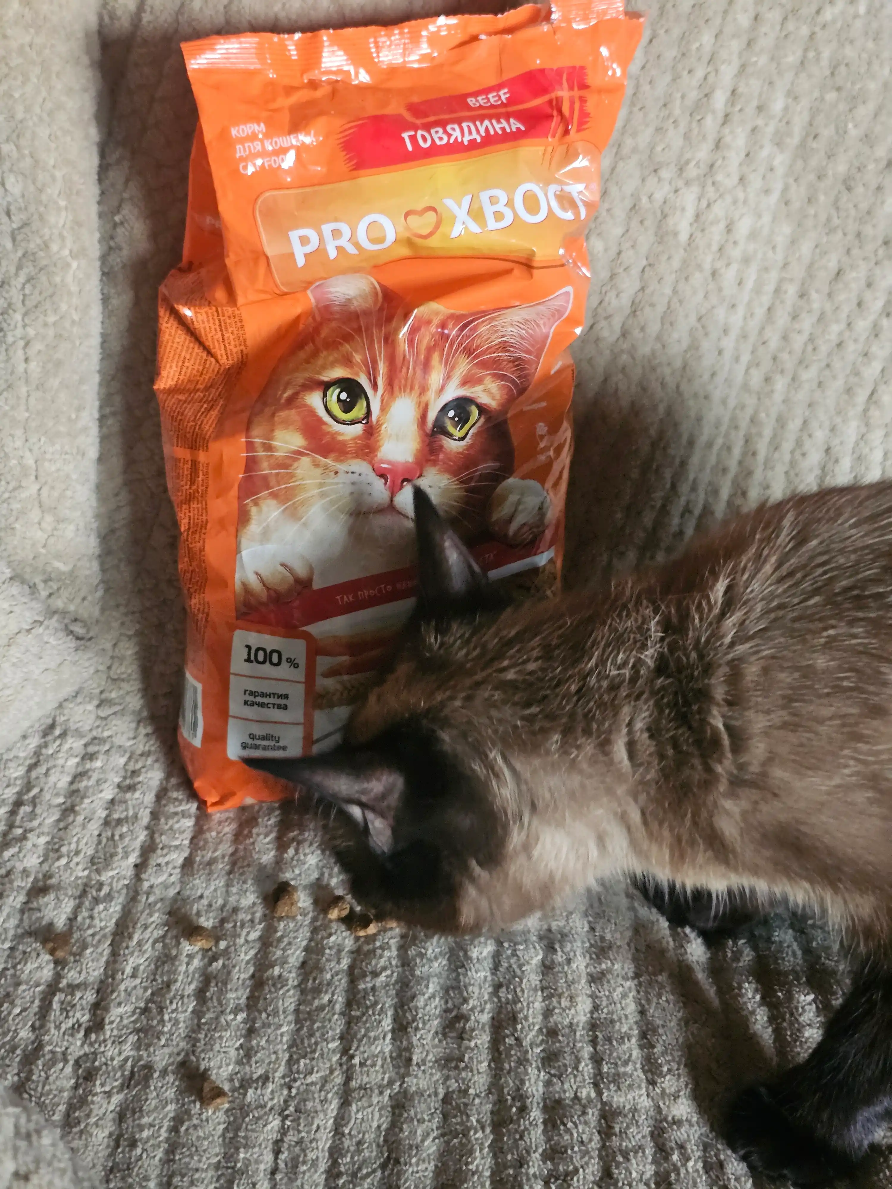 ProХвост mushuklar uchun quruq yem, mol go'shti 800 gr