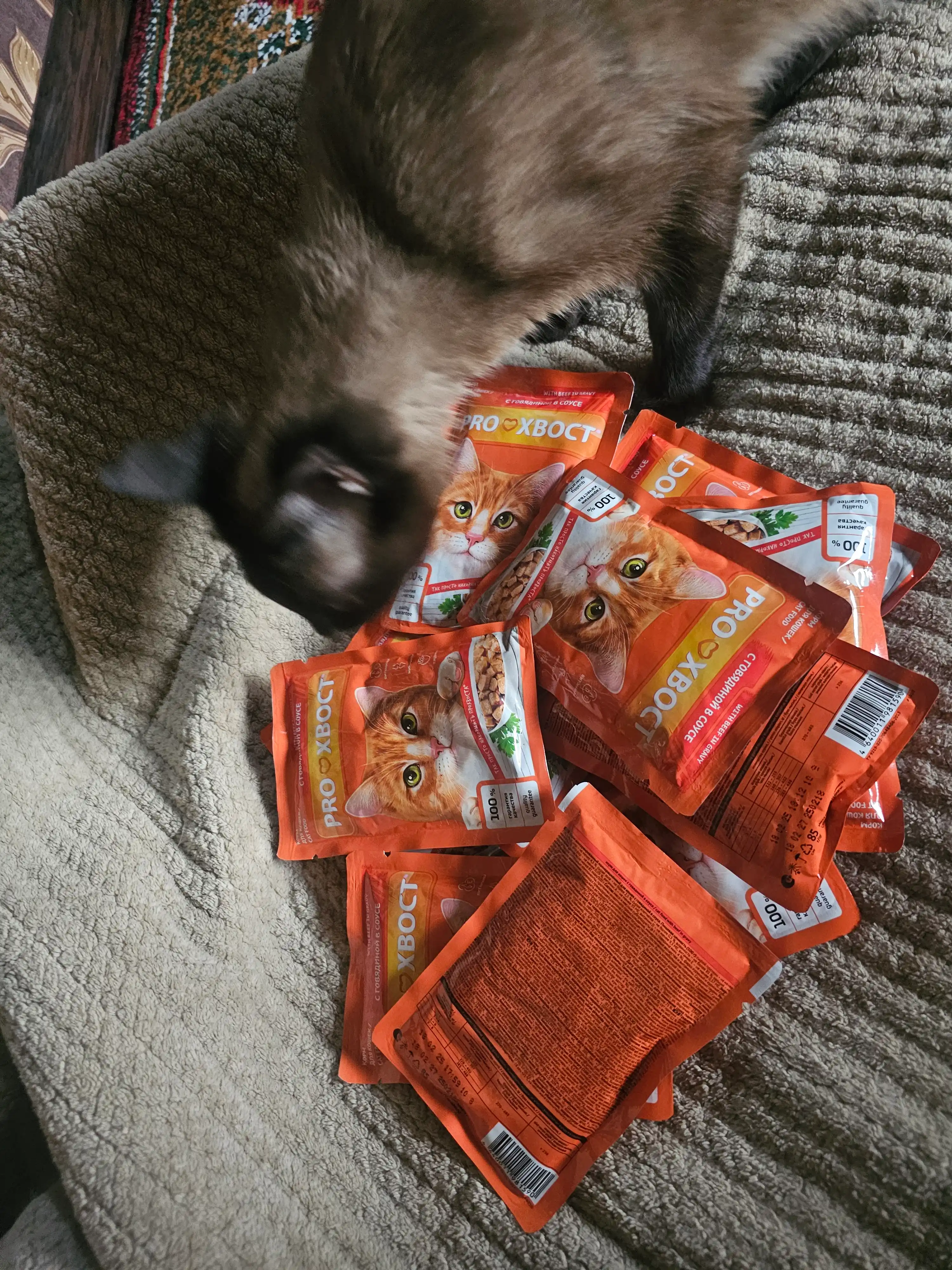 ProХвост mushuklar uchun nam yem, sousda mol go‘shti bilan, 85 gr 28 dona
