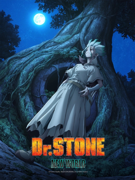Laminatsiyalangan anime posterlari, A4 formatdagi Doktor Stoun plakatlari Dr. Stone - 