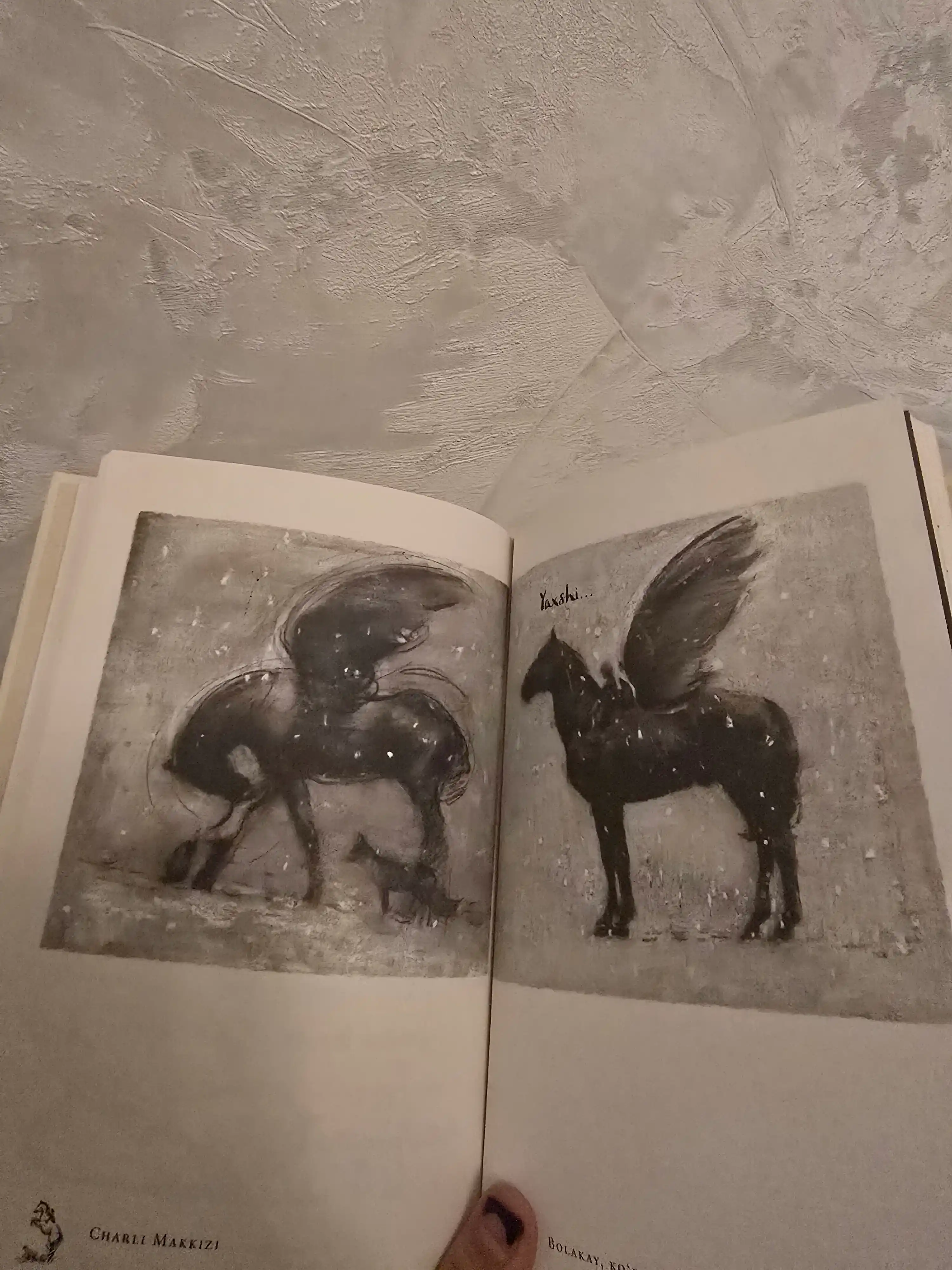 Мальчик, Крот, Лис и Лошадь — Чарли Маккизи, Мотивационная книга