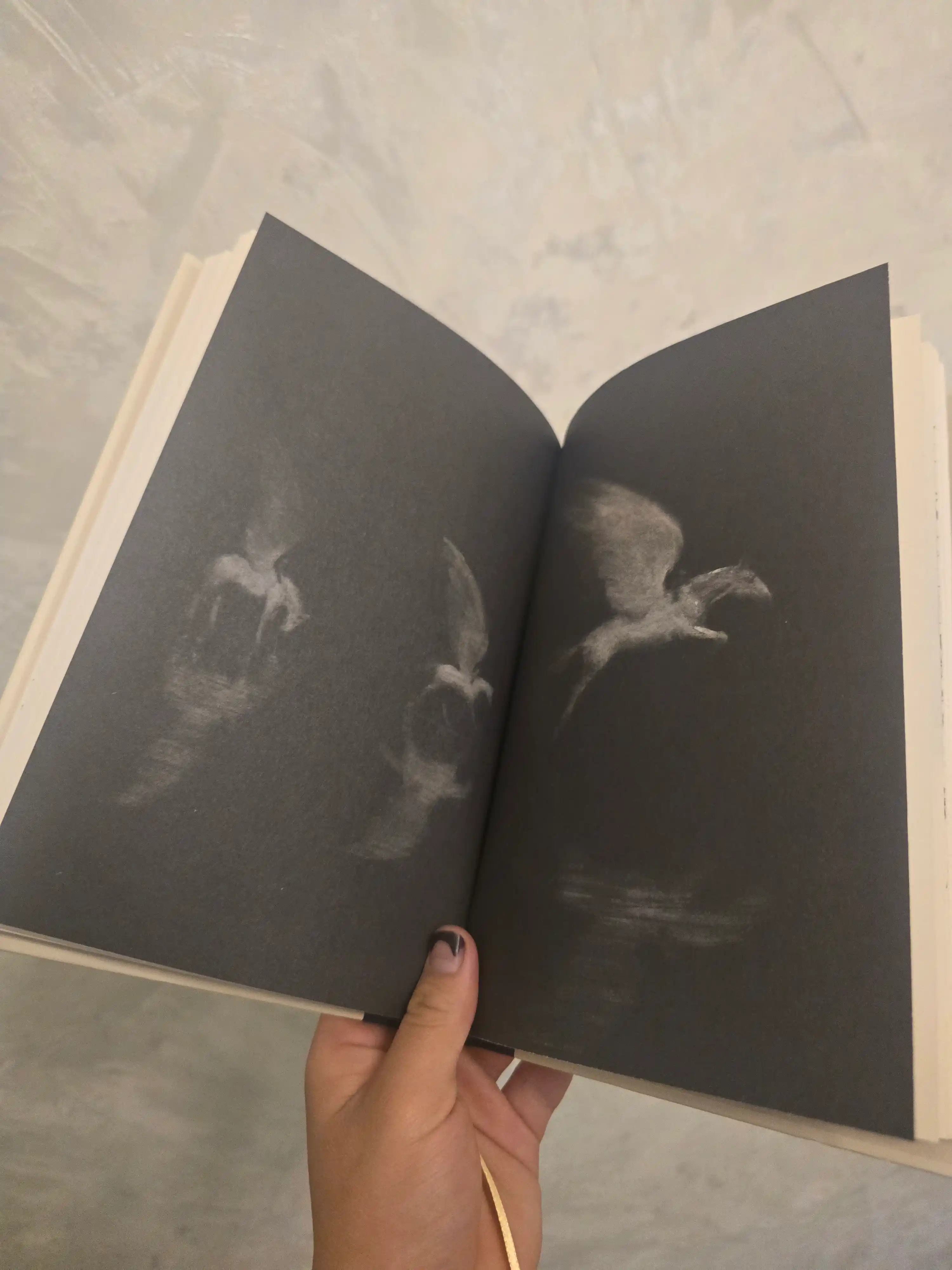 Мальчик, Крот, Лис и Лошадь — Чарли Маккизи, Мотивационная книга