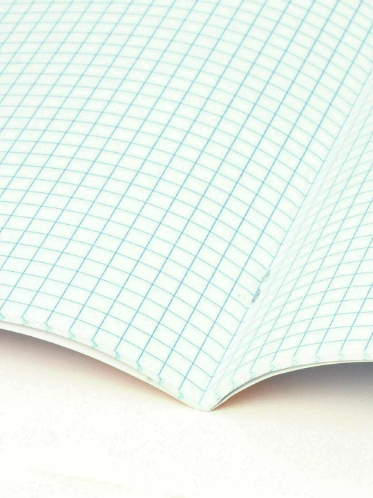 Brauberg A5 daftari,48 sahifa,zımba bilan tikilgan,kvadrat shaklidagi,tanlangan lak,405189