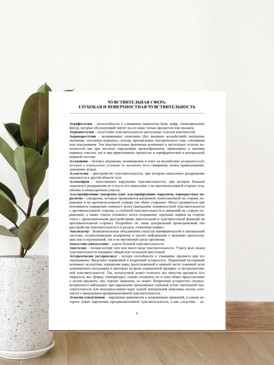 Nevrologik Terminlar Lug‘ati | Tibbiyot Talabalari va Shifokorlar Uchun