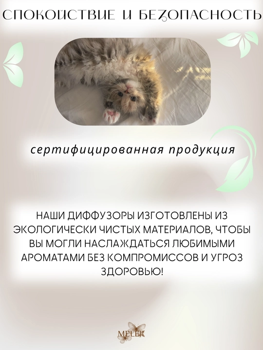 Аромадиффузор для дома INFINITE LOVE Magnolia Cherry 110 ml