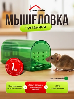 Ментоловый