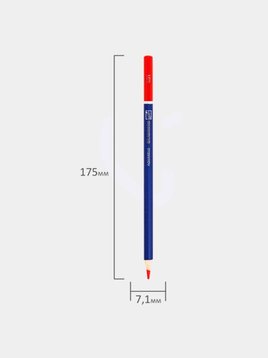 BRAUBERG ART CLASSIC rangli badiiy akvarel qalamlari, 36 rang, grifel 3,3 mm