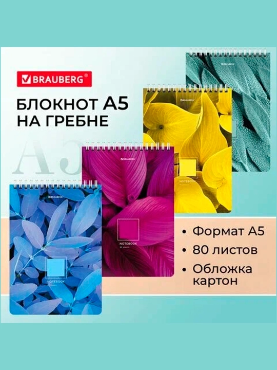 BRAUBERG bloknoti A5 146x206 mm, 80 varaq, spiral, karton muqova, katakli, 114372 - 