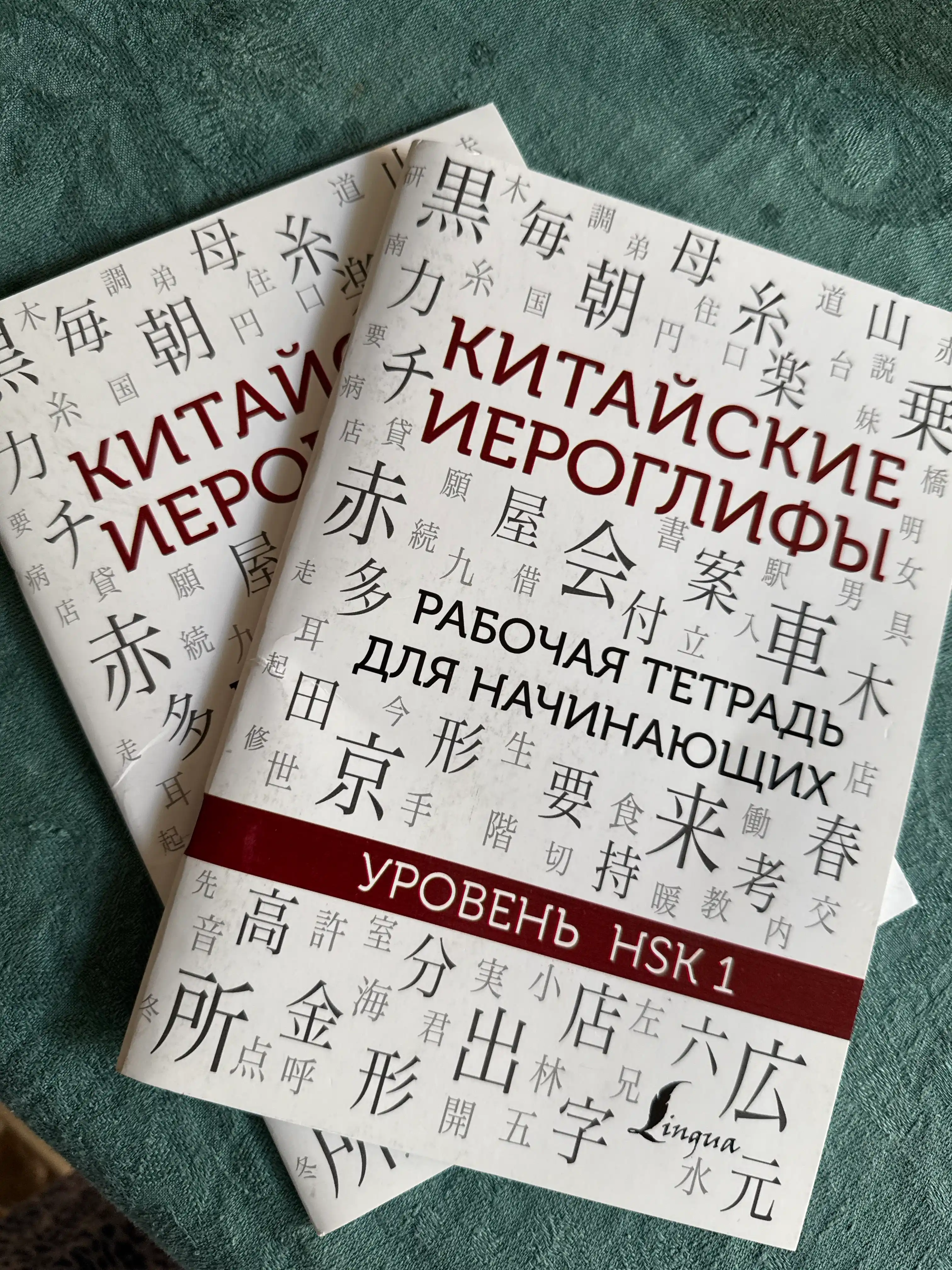 Китайские иероглифы, рабочая тетрадь для начинающих, уровни HSK 1-2, 3-4