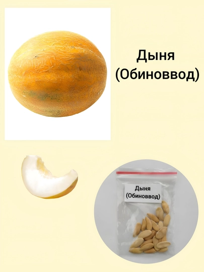 Семена Дыня Обиноввод — KNEET-ДЫНЯ-20