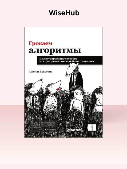 Grokking Algorithms. Aditya Bhargava, programirovaniye rus tilidac