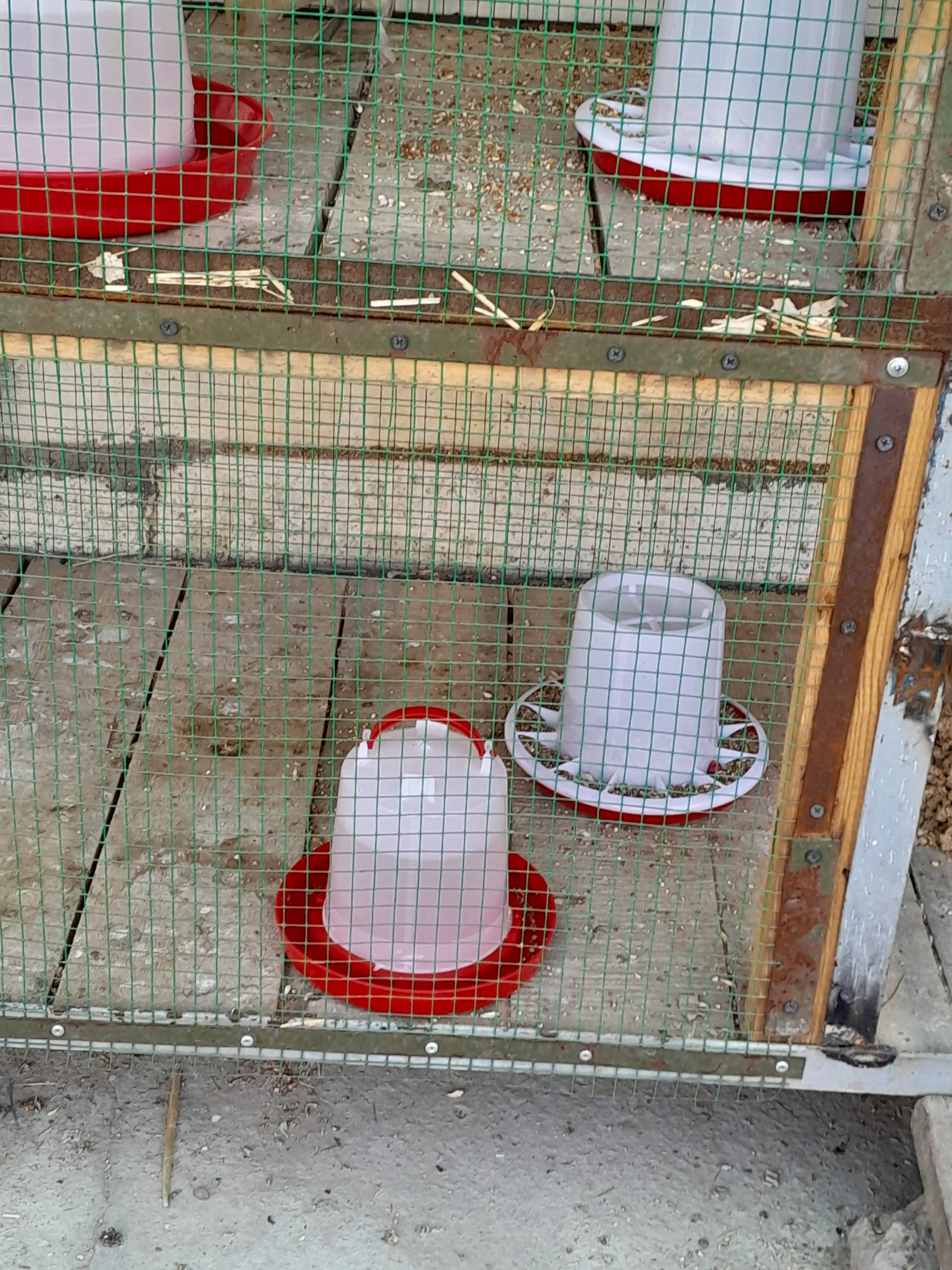 Vakuum ichgich 1 litr va bunker oziqlantiruvchi 1 kg Tovuqlar uchun