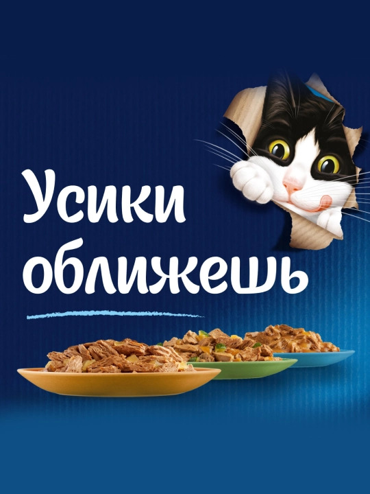 Felix  Аппетитные кусочки влажный корм для кошек, кролик в желе, 75 гр 26 шт