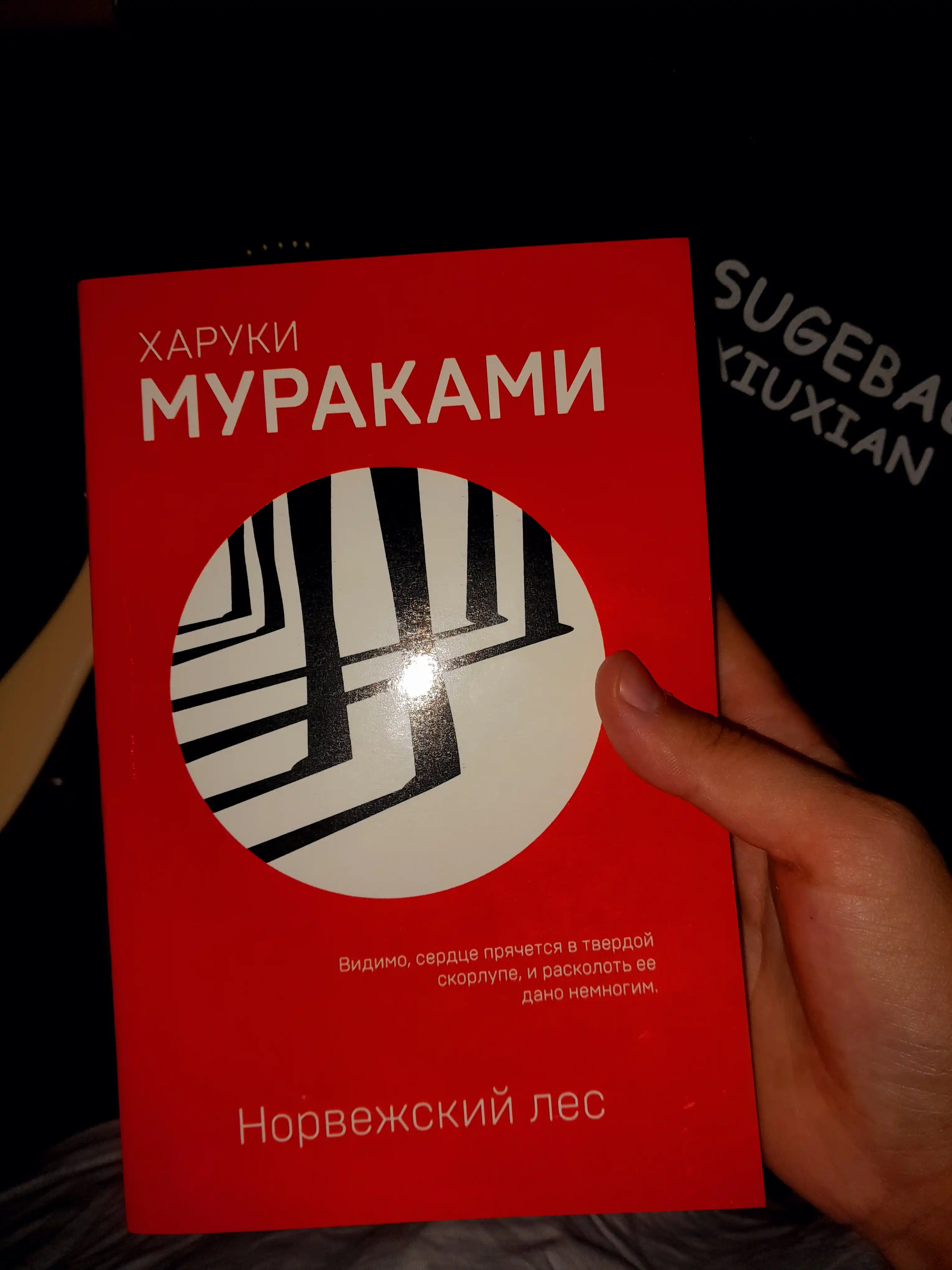 Xaruki Murakami, Norvejskiy les