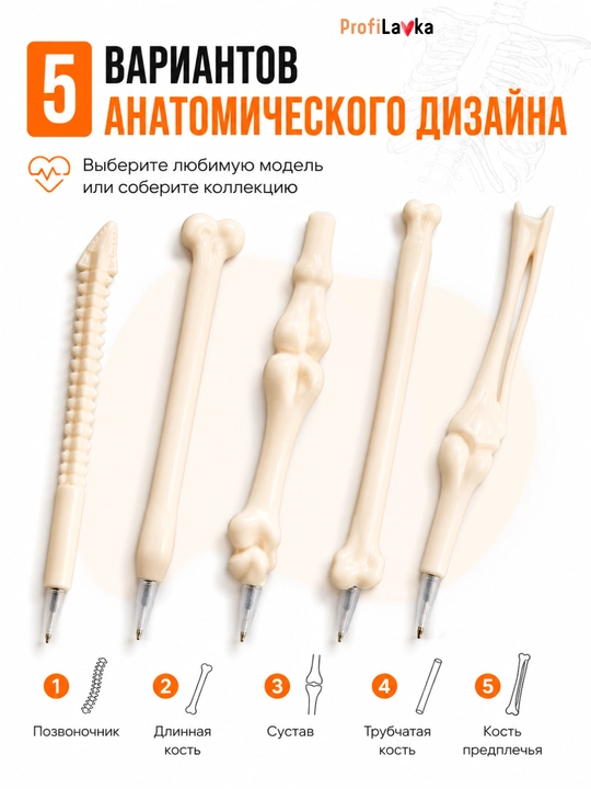 5 dona anatomik ruchkalar to‘plami, suyak shaklidagi ruchka, tibbiyot xodimi uchun sovg‘a