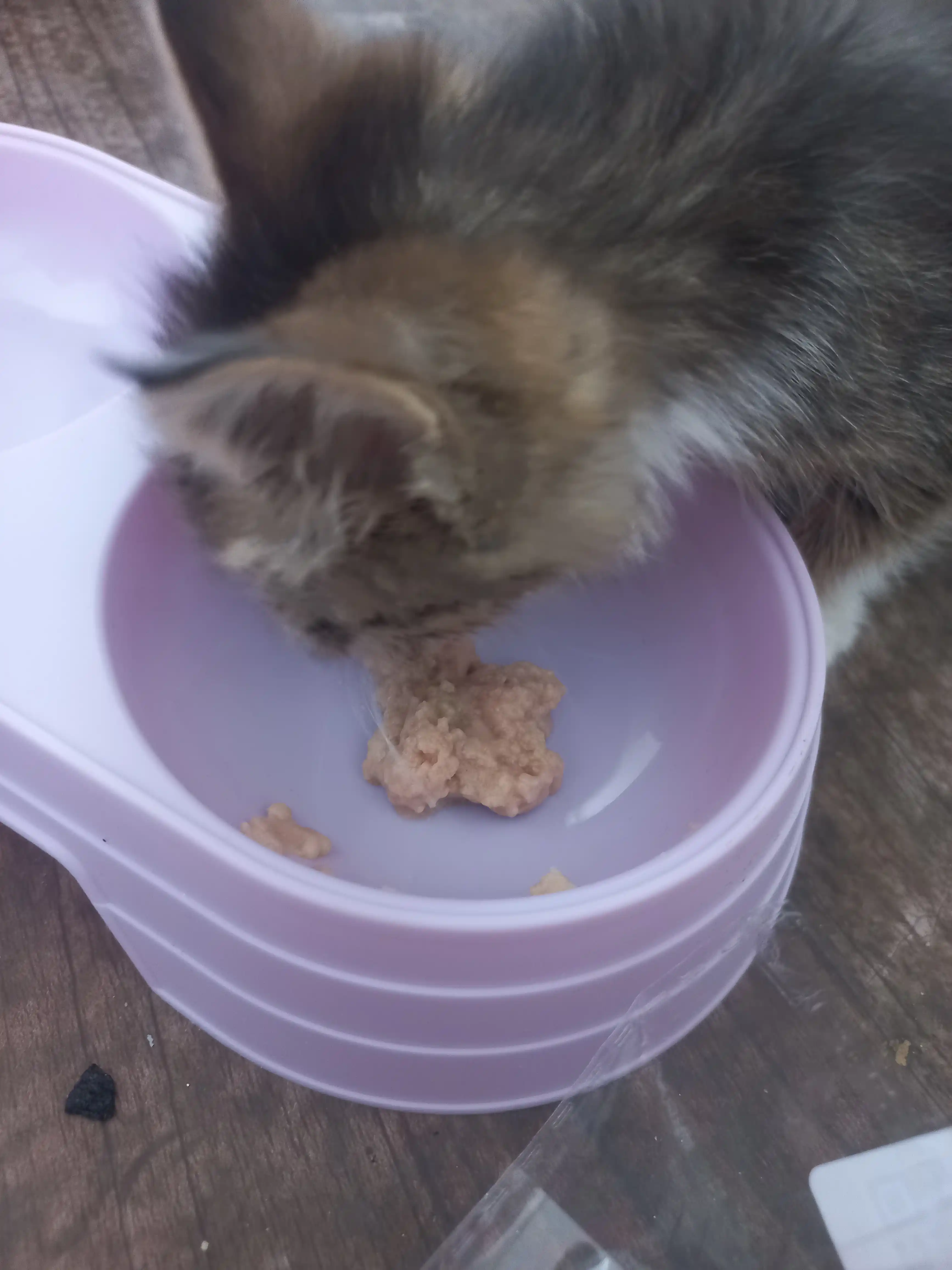 Лакомство для кошек Faenbei "Pet Snaks", ассорти из 3 вкусов