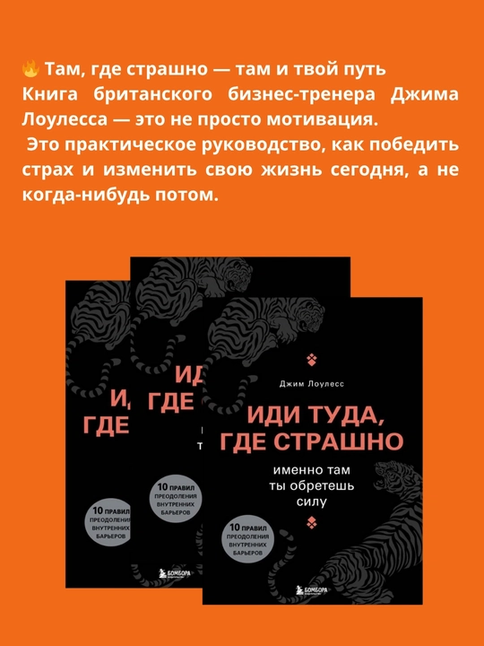 Иди туда, где страшно, Джим Лоулесс - 